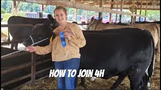 How to join 4H club