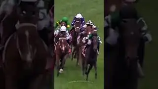 🔙TO🔙In The Cox Plate VIA SISTINA - What A Race!4 In A Row For J-Mac, 1-2 For Trainer,1-3 For Owner!