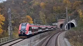 4K CABVIEW: Colourful autumn afternoon ride to Letovice