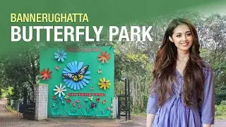 Butterfly Park at Bannerghatta National Park  Bangalore 🦋 2024