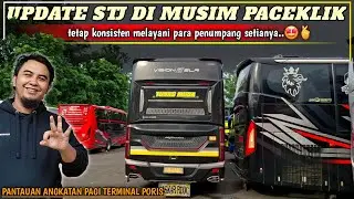 UPDATE SUDIRO TUNGGA JAYA GROUP DI MUSIM PACEKLIK‼️STJ TETAP KONSISTEN👍