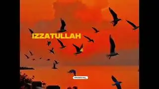 Ana Abu Turabi 🙌🏻🤍#youtubestatus #explore #trending #imamali #viral #1kviews #karbala #islam #viral 