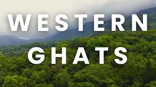 Discover the Majestic Western Ghats | Biodiversity Hotspot of India