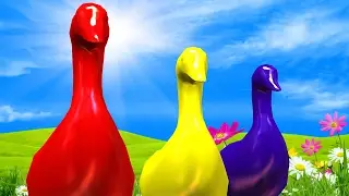 Duck Color Song For Children || Learning Colors With Birds || Animal English Rhymes