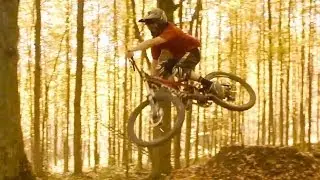 Shreds or Tails - Mountain Bike Woods
