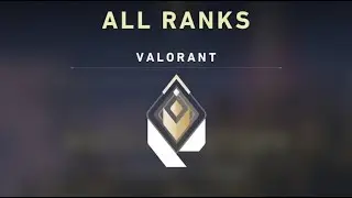 Valorant top500 gamer