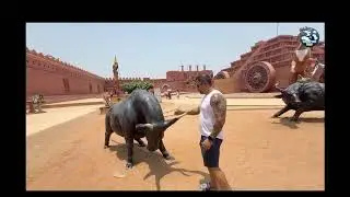 Wander with PRB Live Stream