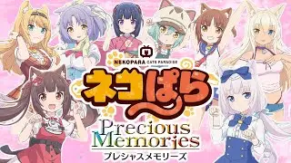 【プレシャスメモリーズ】「ネコぱら」をJC上阪が徹底解説！