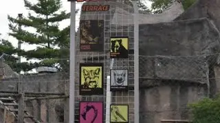Зоопарк Толедо: Тигровая терраса (вторая повторная загрузка) 🐯🐻🦅🐅