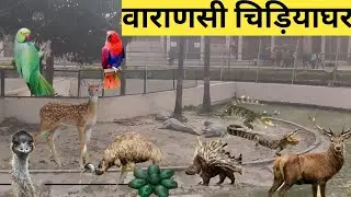 mini zoo sarnath varanasi | deer park sarnath