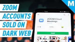 500,000 Zoom Accounts Are Being Sold On Dark Web | Mashable News