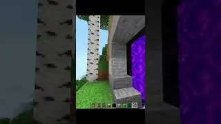 Minecraft Creeper Portal💀