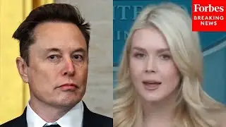 Reporter Asks Karoline Leavitt About Elon Musk's Grok AI's Manipulation Of Images