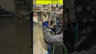 Domani alle 19:30 video da non perdere! La 75 turbo del gobbi tuoner&agrave; ?