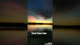 Slow living in this fast racing world - Afsha Fatima 