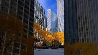 Biased opinion: I don&rsquo;t think anybody does fall better than the Midwest #travel #chicago #wisconsin