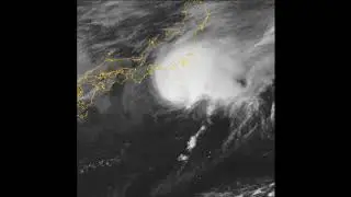 Severe Tropical Storm Dolphin [Marce] (2020)