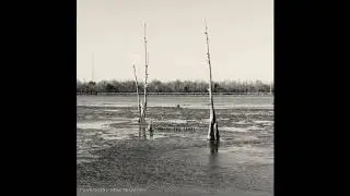 Floy Krouchi - Raga in D - Below sea Level (Album 2015)