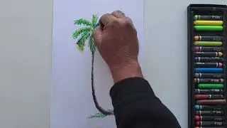 how to draw Coconut tree with oil pastel