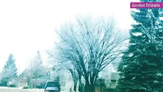 Trees Covered  In  Frozen  Fog  Are  Beautiful  !