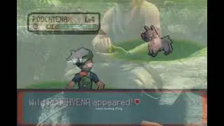 hoenn route 102