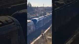 [SNCF/TER] Passage d'une UM de R&eacute;giolis #viral #SNCF #train #regiolis