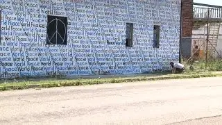 Florida artist creates 