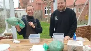 svampe dyrkning p&aring; den nemme m&aring;de