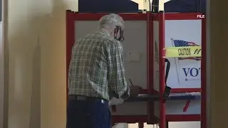 COVID-19 safety precautions at voting polls
