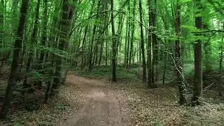 Cam&iacute; de la fageda d'en Jord&agrave;. La Garrotxa-OLOT-(Girona)