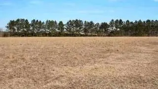 Homes for Sale - 0 County Home Road Winterville NC 28590 - Ida Stox