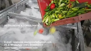 3 basket vegetable washer