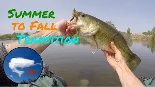 Summer to Fall Transition Bass Fishing with Swim Jig and Crankbait: VFJ 8