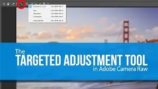 The Targeted Adjustment Tool in ACR