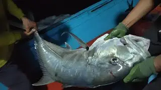 among among tunggal tewas rezeki ngail malam 
