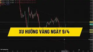 XU HƯỚNG V&Agrave;NG NG&Agrave;Y 9/4 |Tchannel |