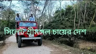 সিলেট শ্রীমঙ্গল চায়ের দেশ