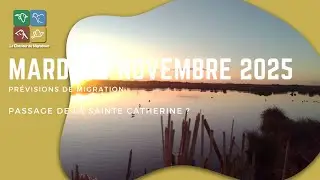 Pr&eacute;visions du 25 novembre : passage de la Sainte Catherine ?
