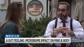 A gut feeling: Microbiome impact on mind, body