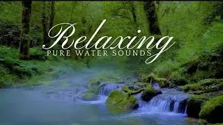 Peaceful River Sounds in Deep Forest 🌿 Flowing Water ASMR for Sleep, Relaxation & Stresss Relaxing