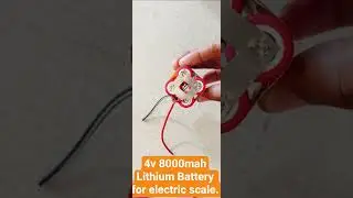 DenBloom 4v 8000mah Lithium Battery for Digital scale. with 15A bms.