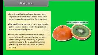 Ch 12 - Biotechnology and its Applications | Ethical issues
