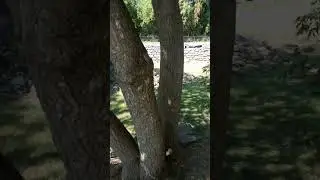 Erie Canal Trail Lock 51, Jordan NY