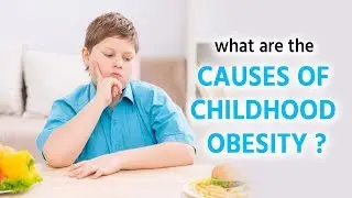 what are the causes of childhood obesity ?