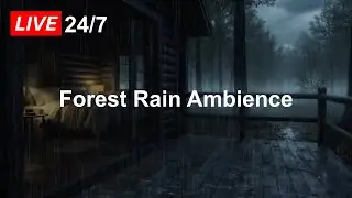 Forest Rain Ambience at a Cozy Wooden Cabin 🌧 | Relax, Unwind, Sleep
