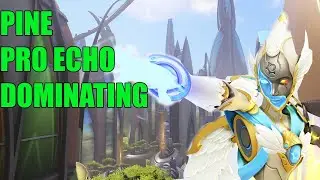 PINE PRO ECHO GAMEPLAY DOMINATING - TOP 500 OVERWATCH SEASON 29