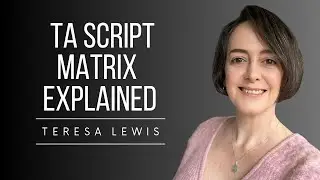 Transactional Analysis Script Matrix Explained