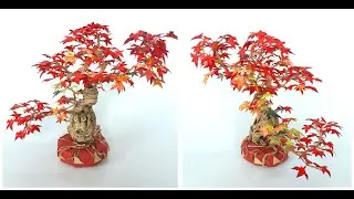 How to make a paper bonsai maple tree