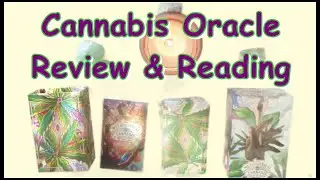 The Metaphysical 🌿 Cannabis Oracle Deck Review & Reading 11/22/22 11/23/22 Love 💖 Soul Messages Deep