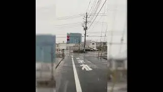 First snow in Tokyo (2021)